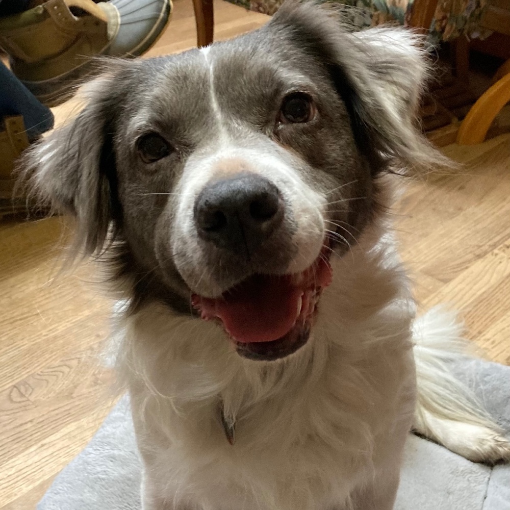 Meet your Posher, Posh